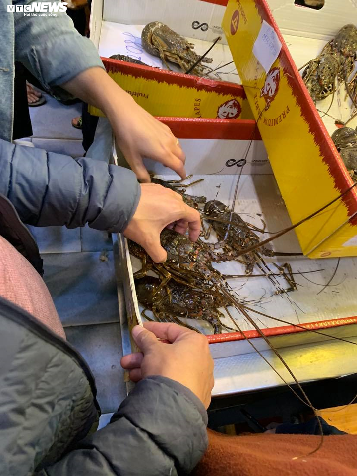 Tôm hùm giải cứu liên tục tăng giá, khách không có hàng để mua - 1