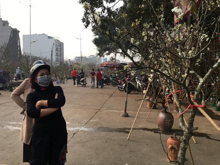 Hoa lê rừng Tây Bắc khoe sắc trắng tinh khôi giữa Thủ đô - 8