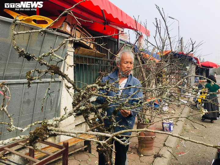 Hoa lê rừng Tây Bắc khoe sắc trắng tinh khôi giữa Thủ đô - 6