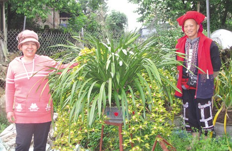 Lên Tả Phìn ngắm hoa, xem người bản địa thêu những chiếc váy rất lạ - 2