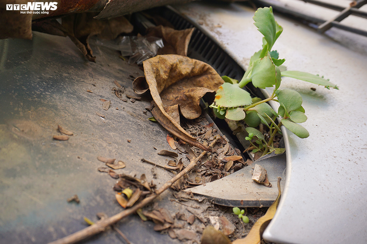 Ảnh: Xe sang Bentley Continental gần 20 tỷ đồng bị 'vứt xó' ở Hà Nội - 5