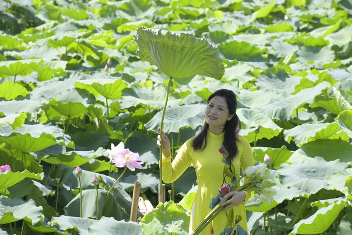 Thúy Hà - Bà Phó bí thư trong ‘Sinh tử’ và tình yêu với ẩm thực Hà Nội - 1