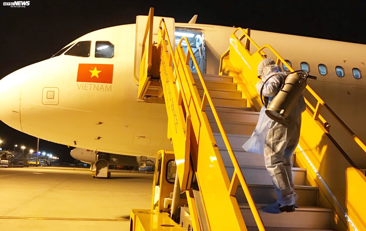 Đà Nẵng tính phương án đưa 20 du khách Hàn Quốc về nước - 2