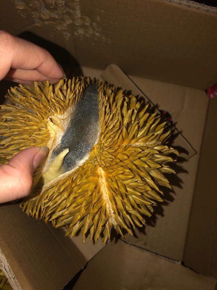 Ảnh: Dở khóc dở cười với những tai nạn mua hàng online mùa giải cứu - 5