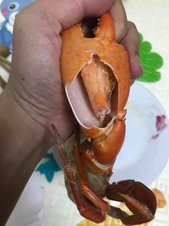 Ảnh: Dở khóc dở cười với những tai nạn mua hàng online mùa giải cứu - 9