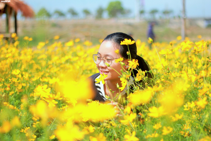 Cánh đồng hoa cánh bướm vàng rực bên dòng sông Đắk Bla - 4