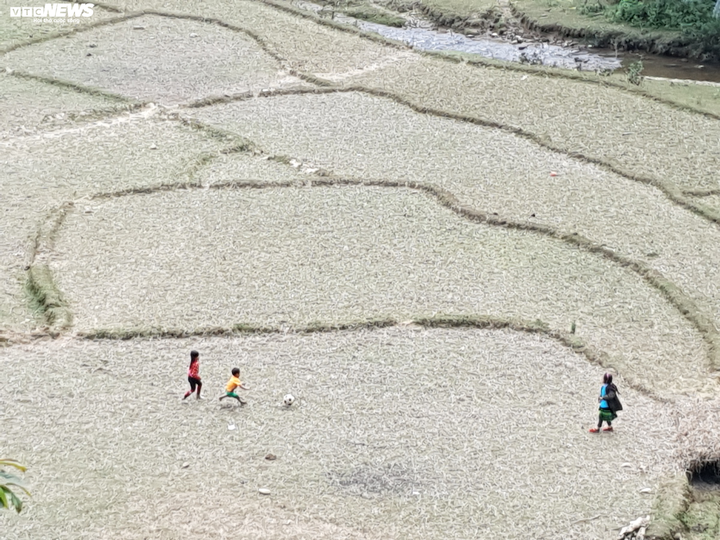 Tây Bắc tan hoang vì thuỷ điện, thanh niên kéo sang Trung Quốc làm thuê - 3
