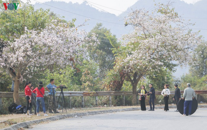 Ngây ngất mùa hoa ban nở ở Điện Biên - 10