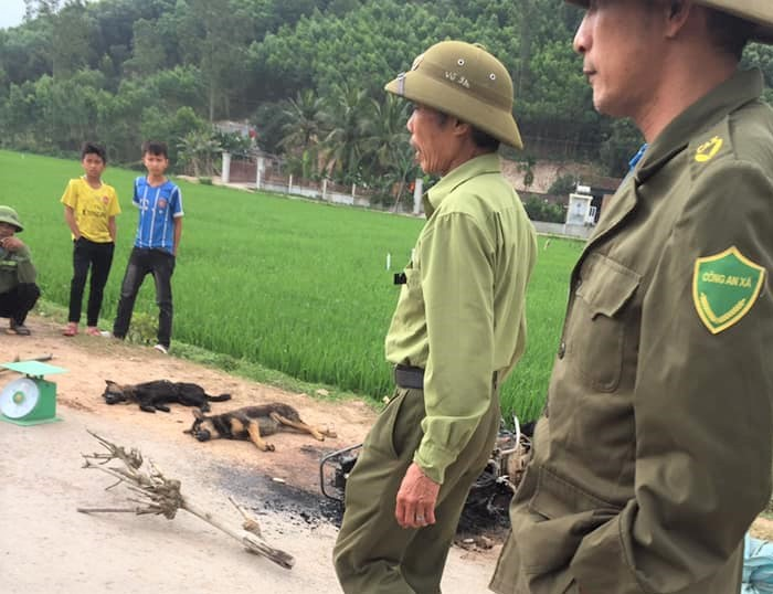 Nghi trộm chó, nam thanh niên bị dân làng đánh chết - 1