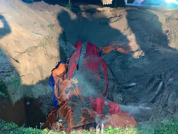 Cận cảnh đưa xác cá voi hơn 10 tấn vào bờ chôn cất ở Hà Tĩnh - 12