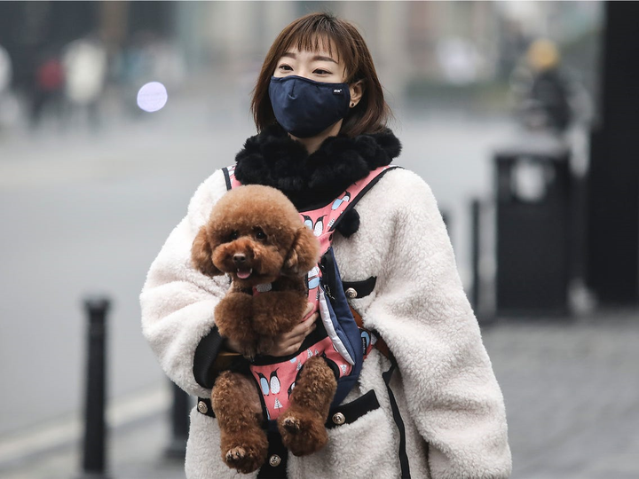 Hong Kong: Phát hiện trường hợp chó 'dương tính yếu' với Covid-19 - 1