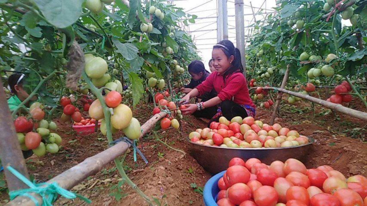 Những bức ảnh lay động về trẻ em vùng cao - 7