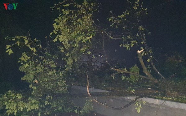 Mưa đá trút xuống trong đêm gây thiệt hại nặng nề, toàn TP Yên Bái mất điện - 5
