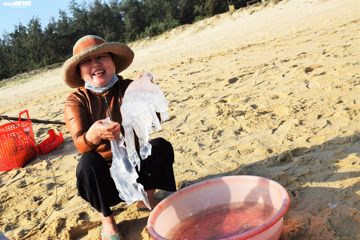 Trúng đậm sứa biển, ngư dân Quảng Nam bỏ túi bạc triệu mỗi ngày - 7