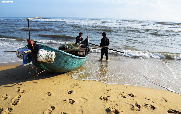 Trúng đậm sứa biển, ngư dân Quảng Nam bỏ túi bạc triệu mỗi ngày - 1