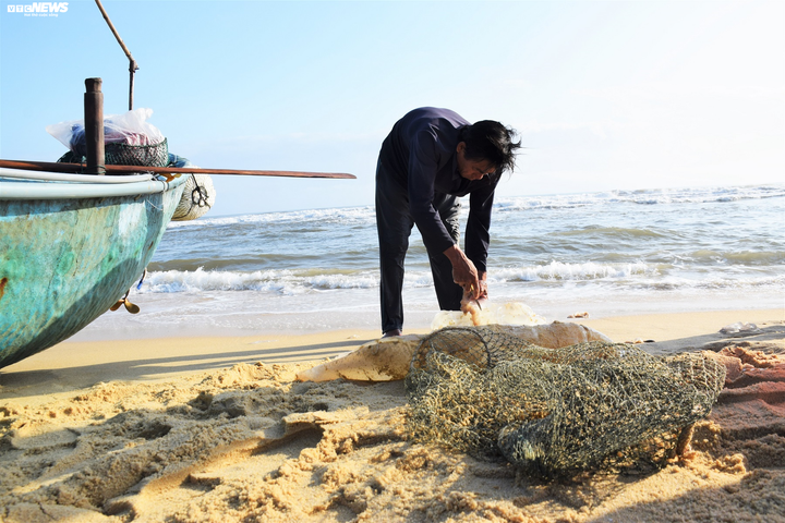 Trúng đậm sứa biển, ngư dân Quảng Nam bỏ túi bạc triệu mỗi ngày - 3