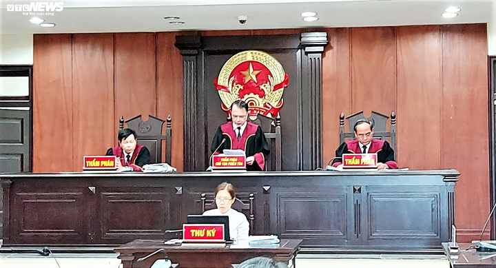 Tòa phúc thẩm bác kháng cáo, chính quyền Đà Nẵng lại thua kiện doanh nghiệp - 1