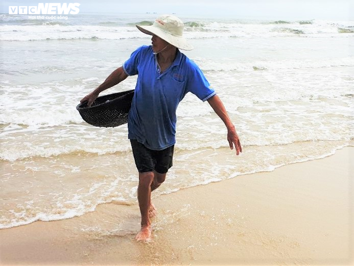 Trúng đậm sứa biển, ngư dân Quảng Nam bỏ túi bạc triệu mỗi ngày - 9