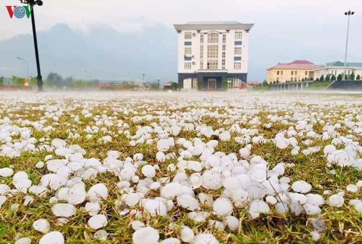 Ảnh: Mưa đá khủng khiếp như lớp băng tuyết dày ở Lai Châu - 15