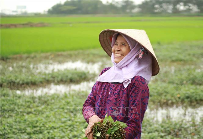 Ảnh: Cuộc sống ở tâm dịch Sơn Lôi trước ngày dỡ bỏ lệnh cách ly - 8