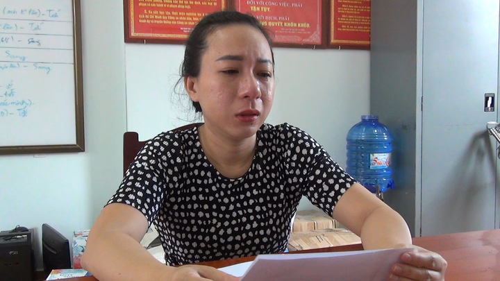 Khởi tố 'nữ quái' làm giả giấy tờ đất ở Phú Quốc để lừa đảo - 1