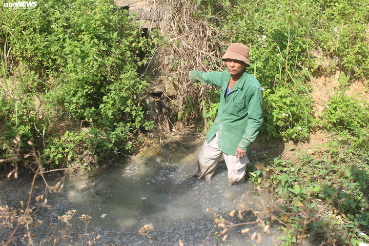 Bốc mùi và xả bụi, Nhà máy Tinh bột mì Quảng Ngãi khiến dân 'kêu trời' - 2