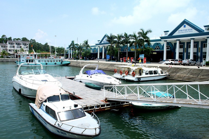 Yêu cầu báo cáo số lao động Việt trên tàu quốc tế có nguy cơ nhiễm Covid-19 - 1