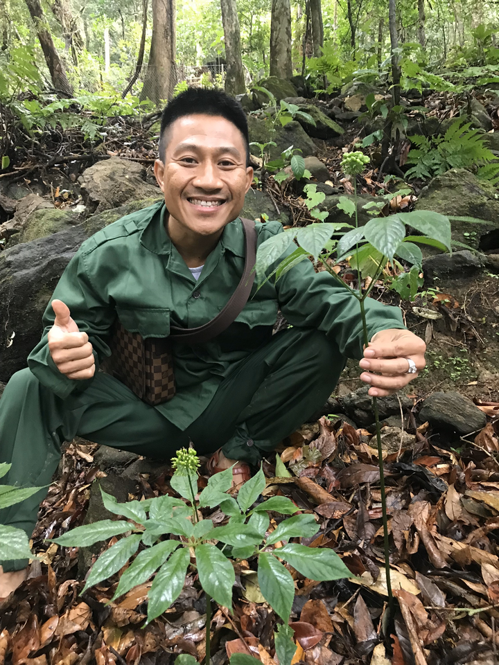 Chiêm ngưỡng 'báu vật' Sâm Ngọc Linh rừng hơn 100 năm tuổi dáng rồng lượn - 3