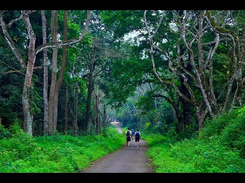 Những địa điểm du lịch tuyệt đẹp ngay gần Hà Nội cho ngày 8/3 - 2