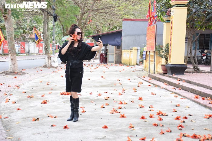 Ảnh: 5 cây gạo đỏ rực giữa trời tháng 3 bên ngôi đền cổ Hải Phòng - 17