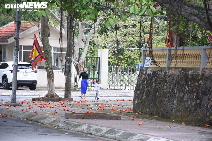 Ảnh: 5 cây gạo đỏ rực giữa trời tháng 3 bên ngôi đền cổ Hải Phòng - 16