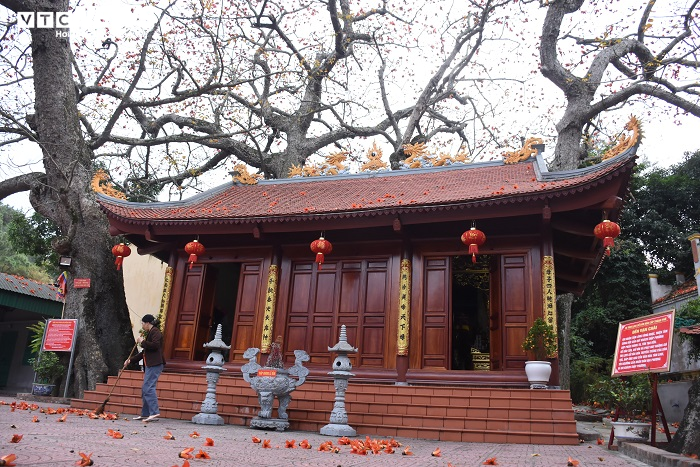 Ảnh: 5 cây gạo đỏ rực giữa trời tháng 3 bên ngôi đền cổ Hải Phòng - 5