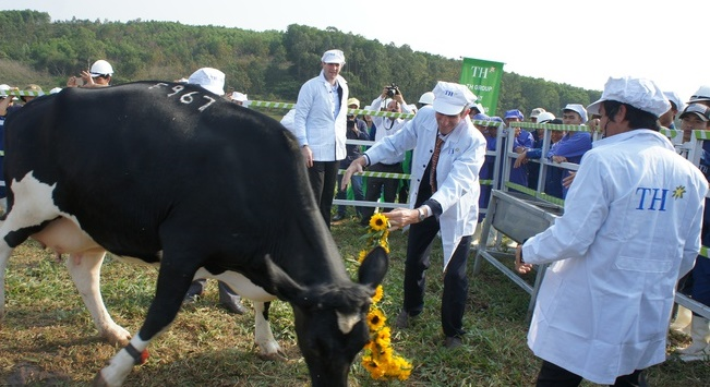 TH Group chi 135 triệu USD mua 3 trang trại gia súc ở Australia - 1