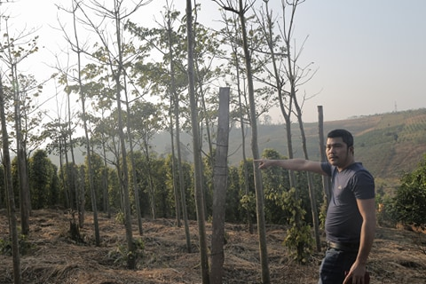 Phó phòng Tài nguyên Môi trường bị tố bán đất 'ma' cho dân - 1