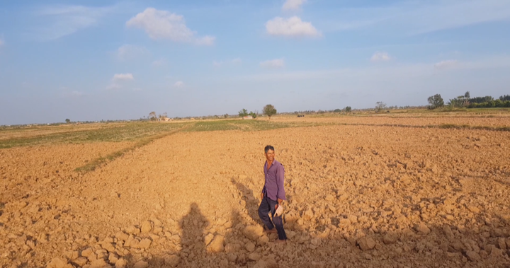 Ảnh: Dân cào bán đất phù sa trên mặt ruộng giữa hạn mặn khốc liệt - 8