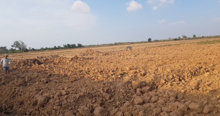Ảnh: Dân cào bán đất phù sa trên mặt ruộng giữa hạn mặn khốc liệt - 1