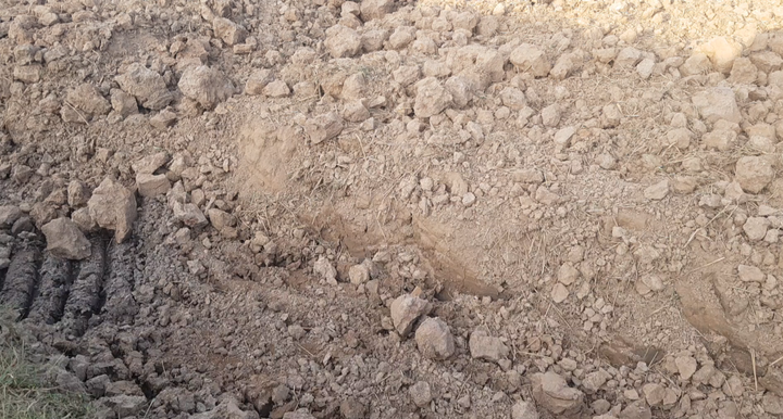 Ảnh: Dân cào bán đất phù sa trên mặt ruộng giữa hạn mặn khốc liệt - 4