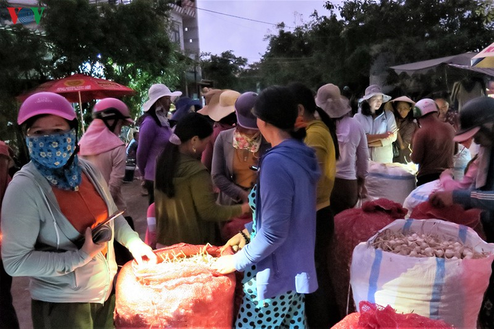 Ảnh: Cuộc sống mưu sinh nhọc nhằn của phụ nữ đảo Lý Sơn - 11