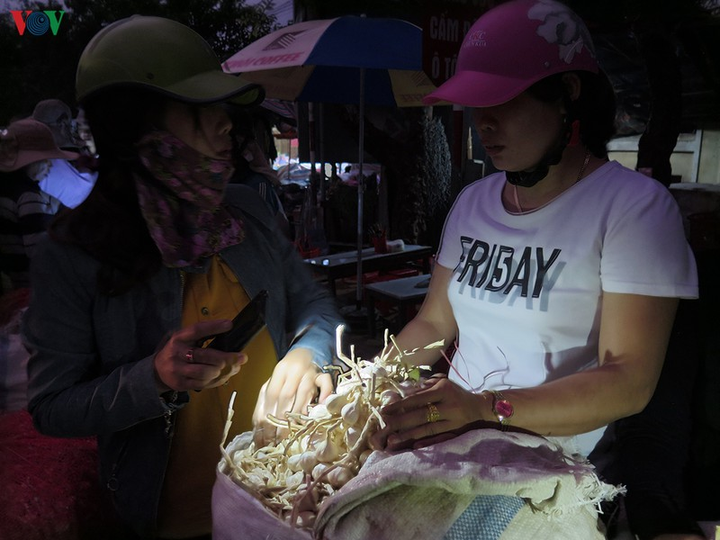 Ảnh: Cuộc sống mưu sinh nhọc nhằn của phụ nữ đảo Lý Sơn - 12