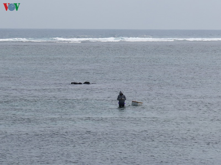 Ảnh: Cuộc sống mưu sinh nhọc nhằn của phụ nữ đảo Lý Sơn - 1