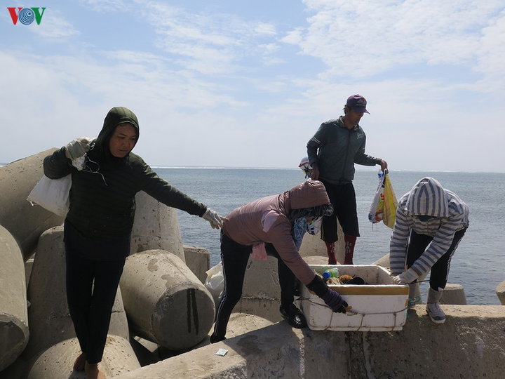 Ảnh: Cuộc sống mưu sinh nhọc nhằn của phụ nữ đảo Lý Sơn - 4