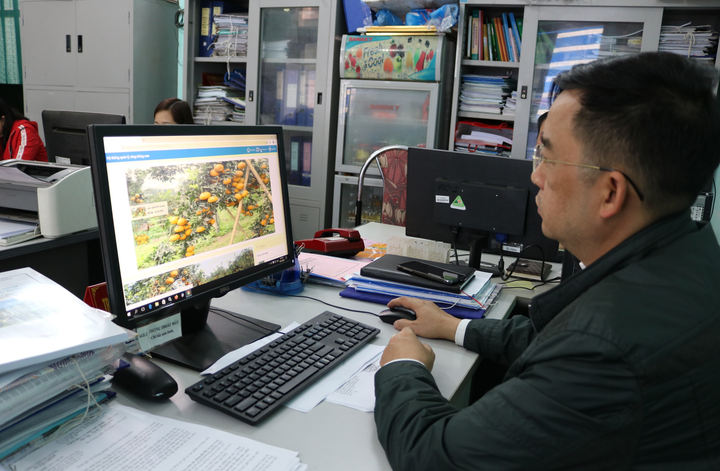 Hà Giang ứng dụng phần mềm quản lý vùng cam VietGap 4.200ha - 1