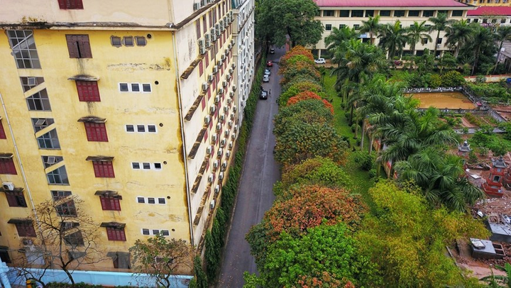 Ảnh: Con đường lá vàng đẹp ngất ngây tại Đại học Sư phạm Hà Nội - 6