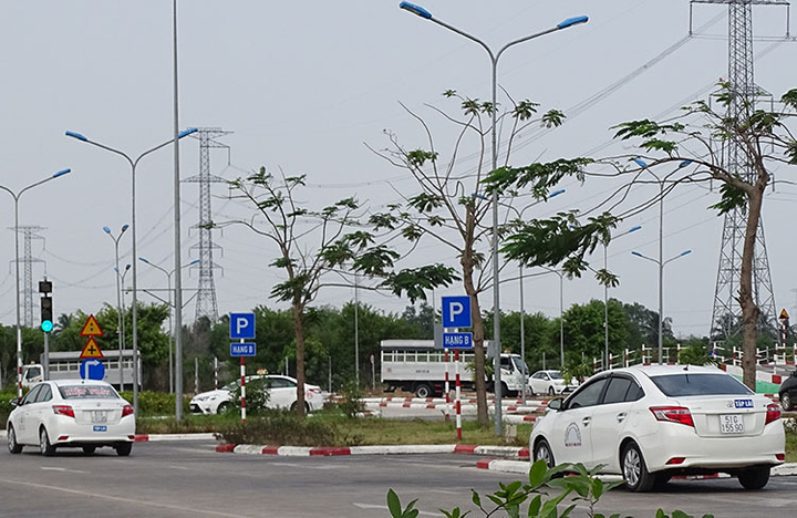 83 giáo viên dạy lái xe dùng bằng giả: Tiết lộ 'lỗ hổng' pháp lý - 2