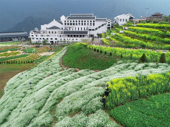 Chuyện chưa kể về những không gian xanh trên núi - 6