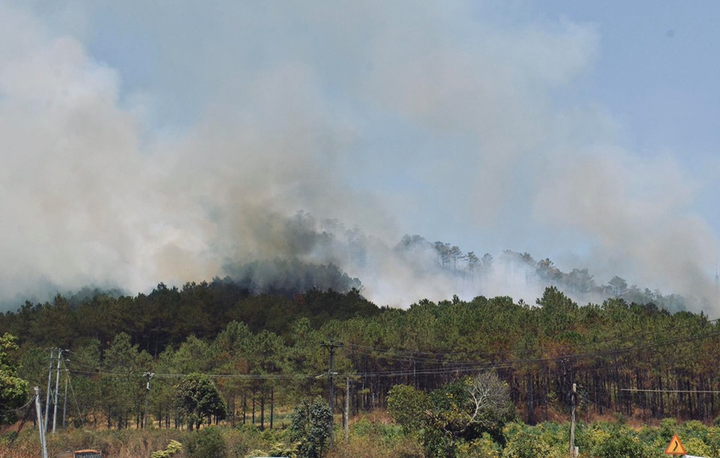 Rừng phòng hộ ở Gia Lai bốc cháy ngùn ngụt, hàng trăm người tham gia chữa cháy - 1