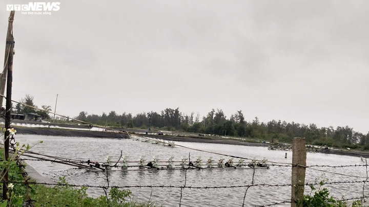 Dân sống cạnh hồ nuôi tôm hôi thối: 'Chúng tôi chịu hết nổi rồi' - 4