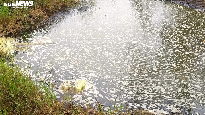 Dân sống cạnh hồ nuôi tôm hôi thối: 'Chúng tôi chịu hết nổi rồi' - 6