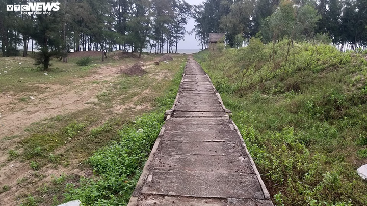 Dân sống cạnh hồ nuôi tôm hôi thối: 'Chúng tôi chịu hết nổi rồi' - 11