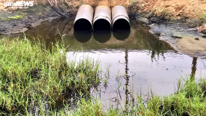 Dân sống cạnh hồ nuôi tôm hôi thối: 'Chúng tôi chịu hết nổi rồi' - 5